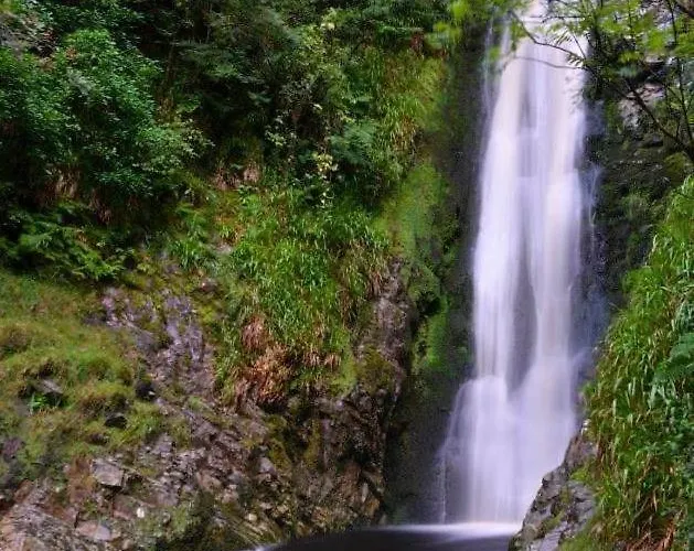 Bed & Breakfast The Glen House Country 4*